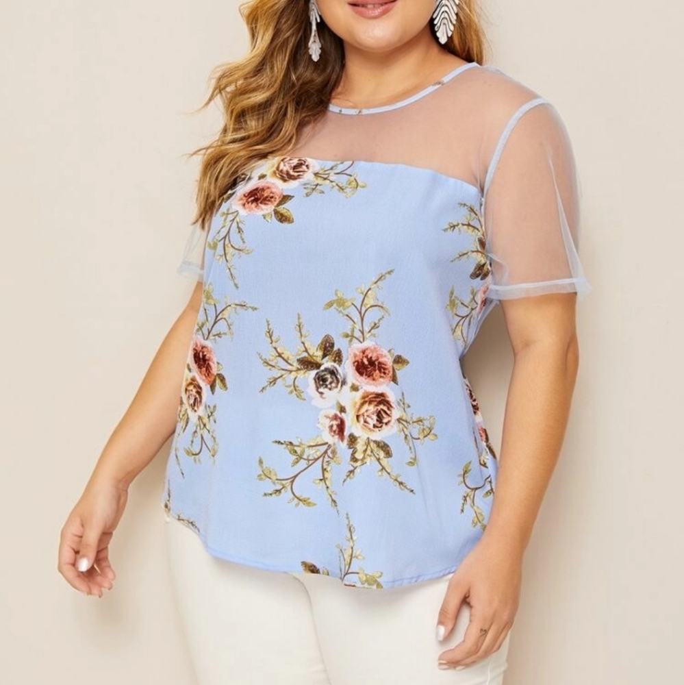 Shear blouse